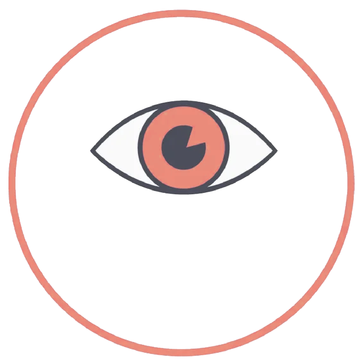 Vision